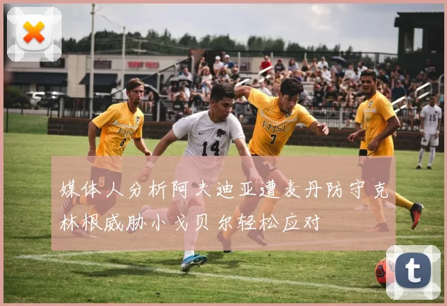 媒体人分析阿夫迪亚遭麦丹防守克林根威胁小戈贝尔轻松应对